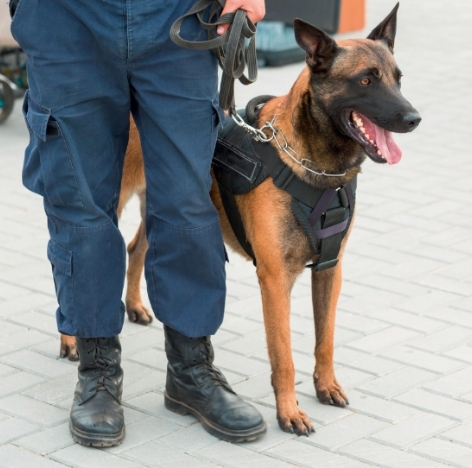 SN SIS SECURITE Biarritz Systeme Dalarme Nos Points Forts – 1